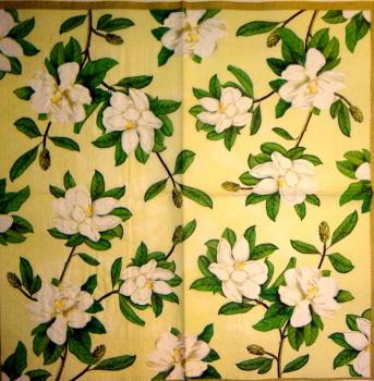 100 Magnolien - 3 lagig (gelb)